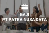 Gaji PT Patra Nusa Data